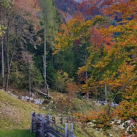 Gorsko Zavetje *