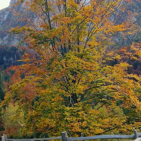 Gorsko Zavetje * Соча